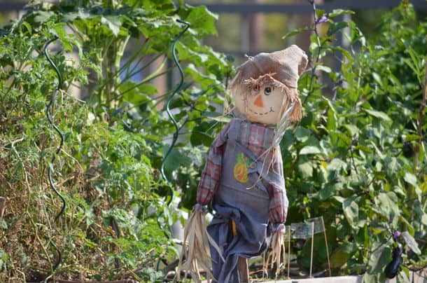 A Scarecrow In A Summer Garden - Triangle on the Cheap