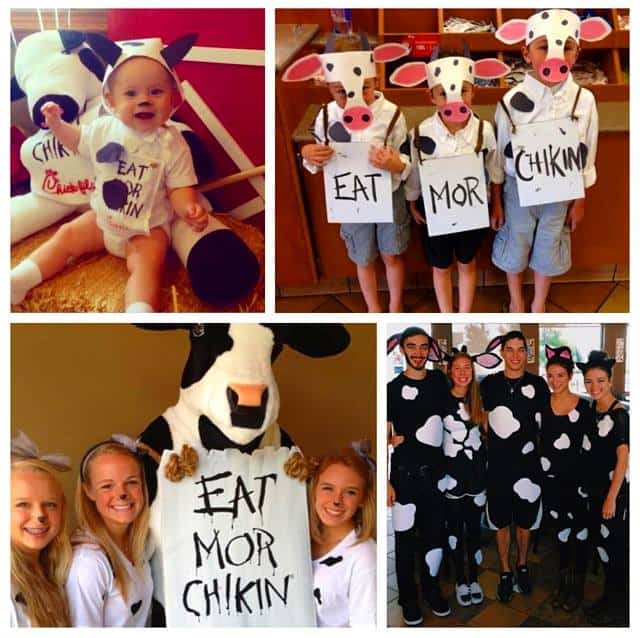 chick fil a cow costume