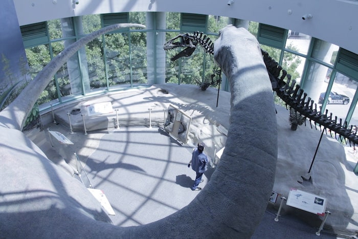 north carolina museum of natural sciences