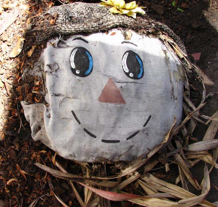 scarecrow