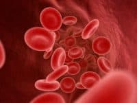 Blood Cells science