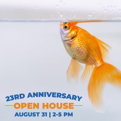 23rd Anniversary Open House at Avian and Exotic Animal ...