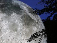 museum of the moon durham bull moon rising