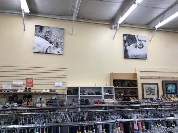 Vintage, consignment, and thrift shops in the Triangle - RALtoday