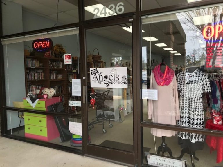 5 thrift shops to check out in Cary (bonus a huge list of thrift