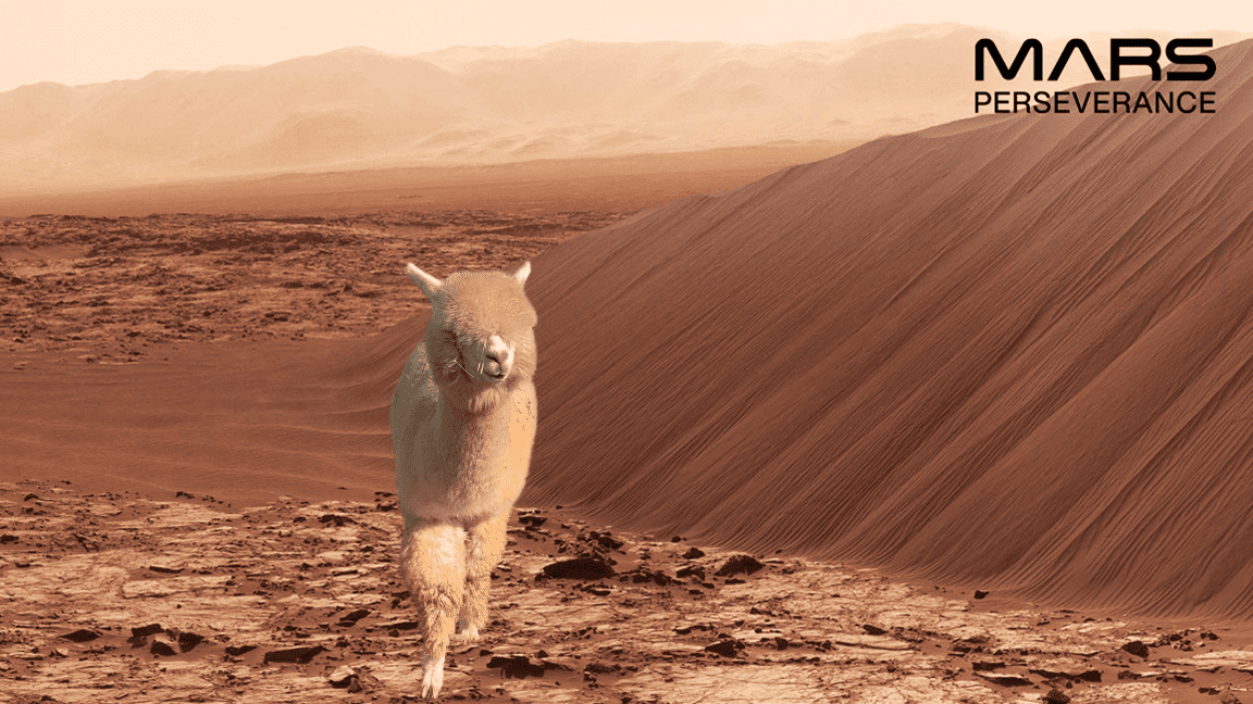 An edited photo of an alpaca on Mars