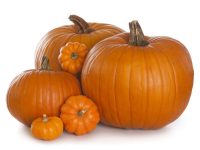 several pumpkins of different sizes