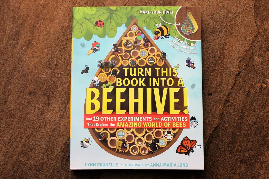 Museum Store Sunday shop for discounts at local museum stores