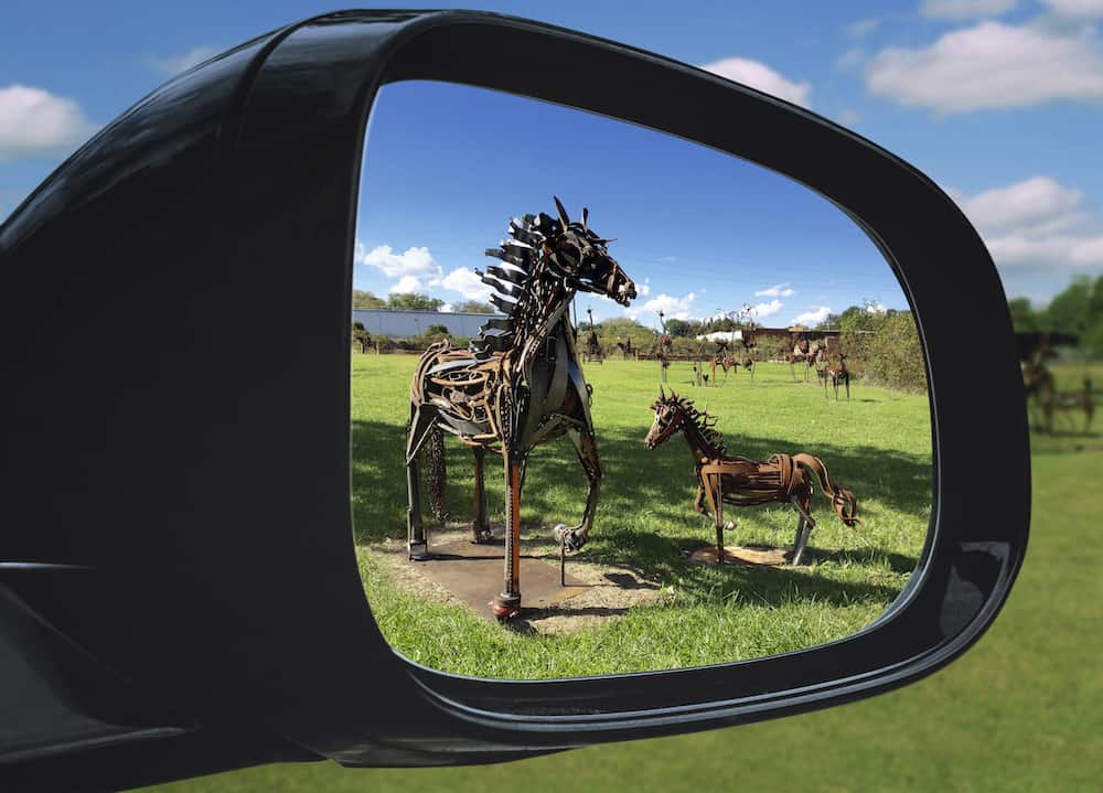 metal sculpture of horses in Greenville, NC