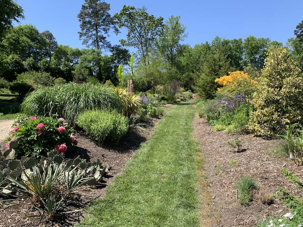 Path and flowers in Juniper Level Botanic Garden