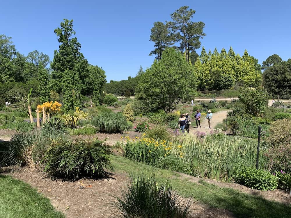 Visitors walking on path at Juniper Level Botanic Garden