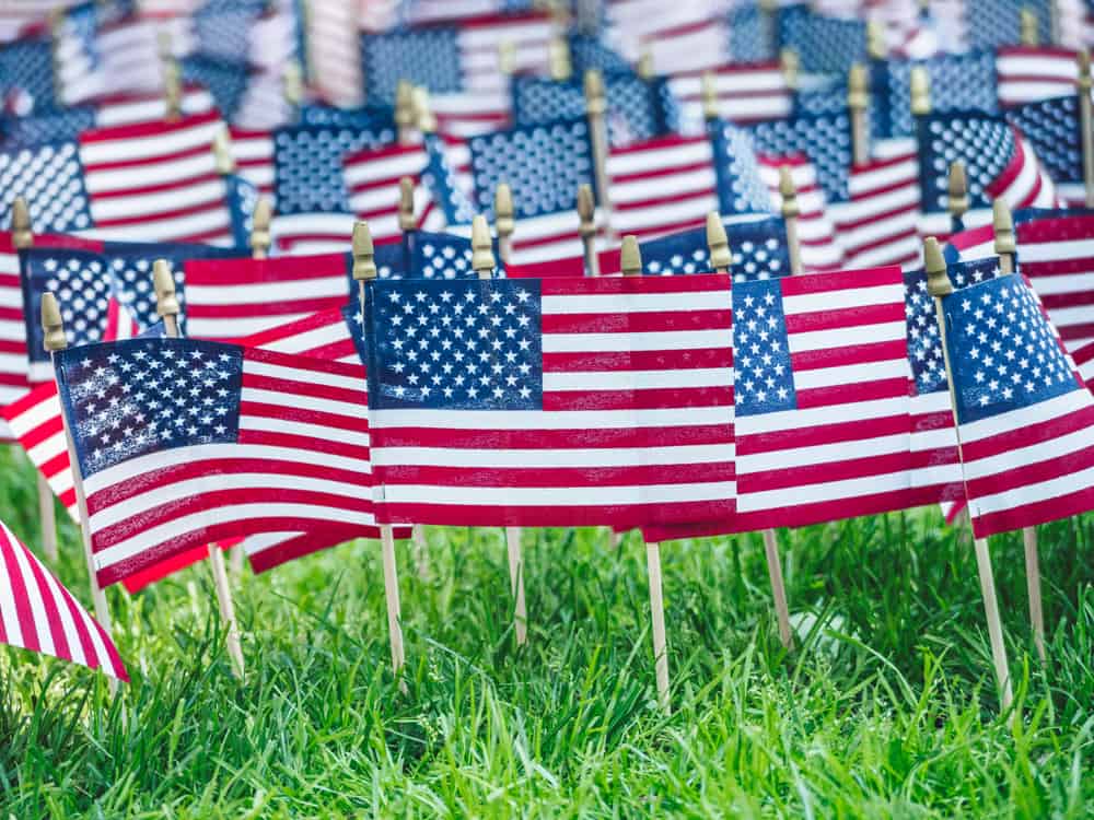 Flags in field for memorial day