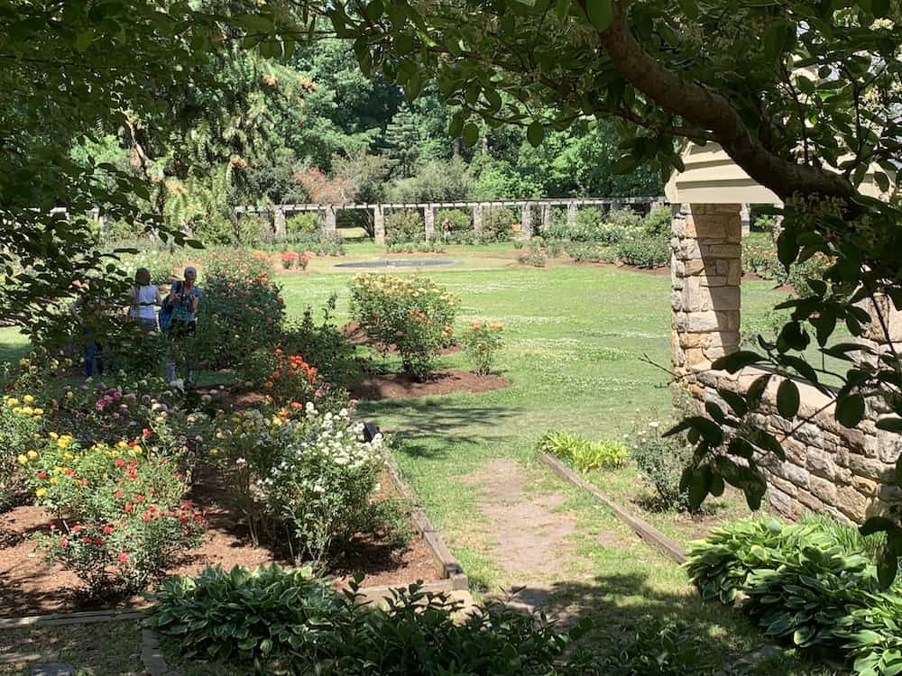 Visitors in Raleigh Rose Garden