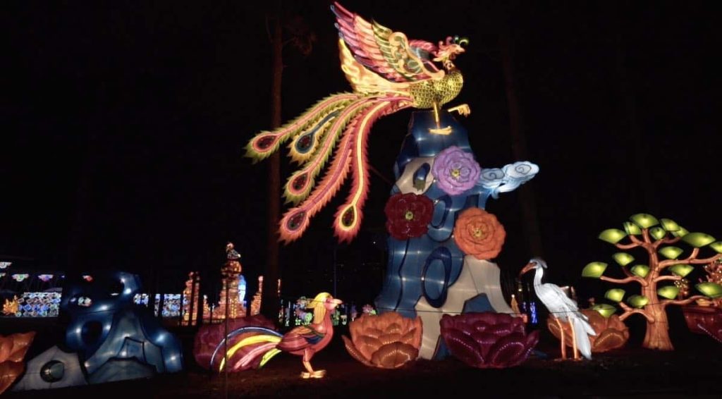Large illuminated lanterns of birds at North Carolina Chinese Lantern Festival