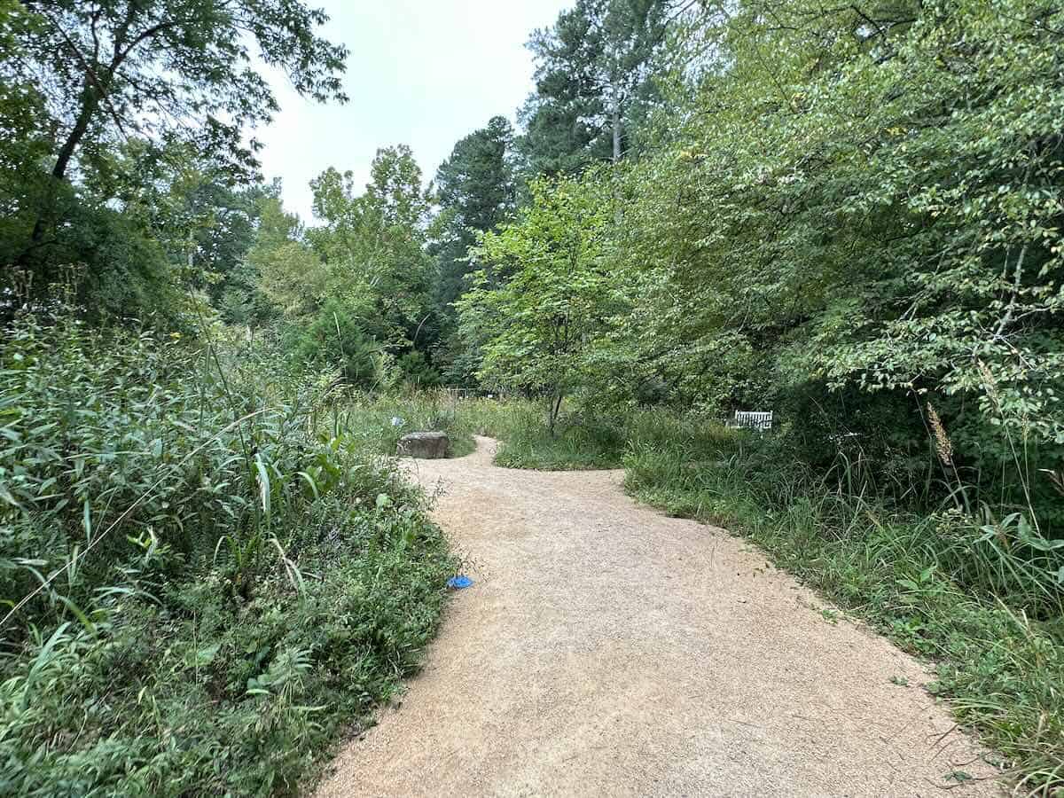Path at North Carolina Botanical Gardens
