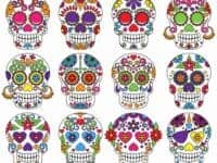 Multiple decorated sugar skulls on a white background