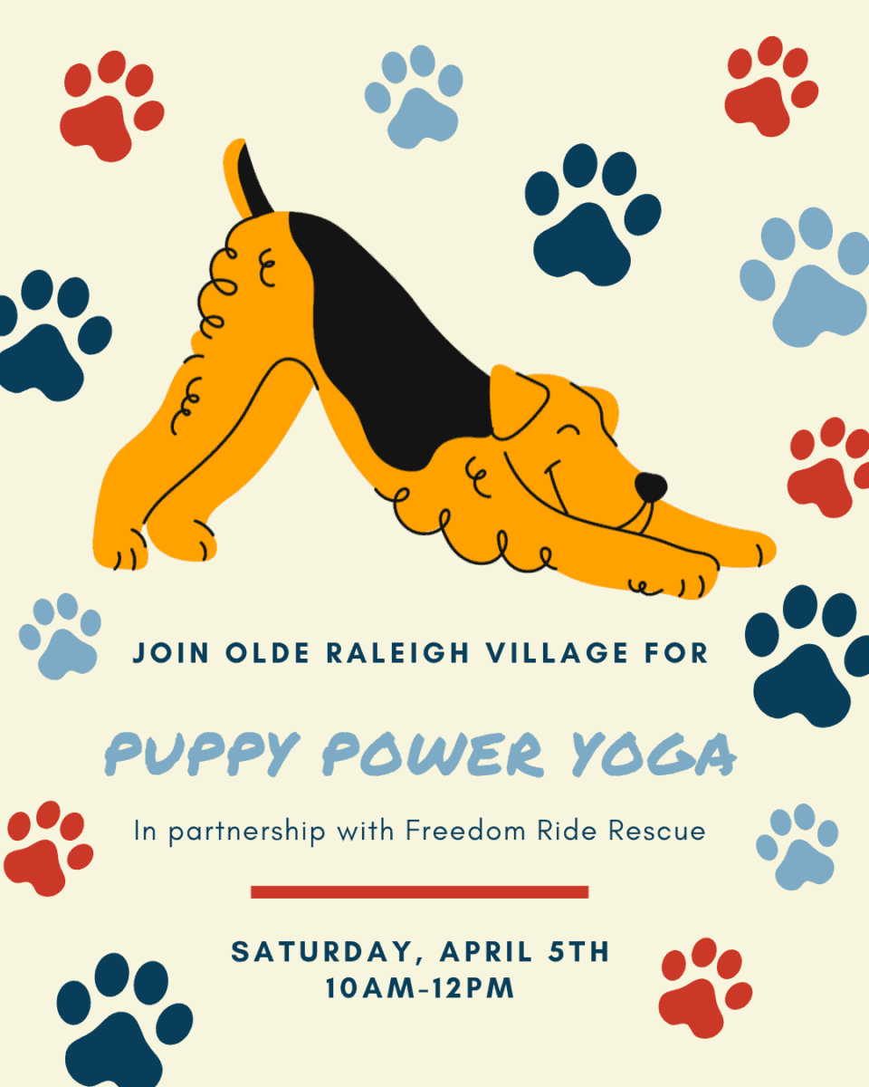 puppy-power-yoga-at-olde-raleigh-village-triangle-on-the-cheap
