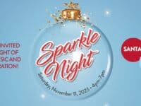 banner for Sparkle Night