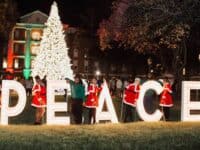 tree lighting at William Peace University in Raleigh