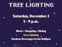banner for downtown durham tree lighting