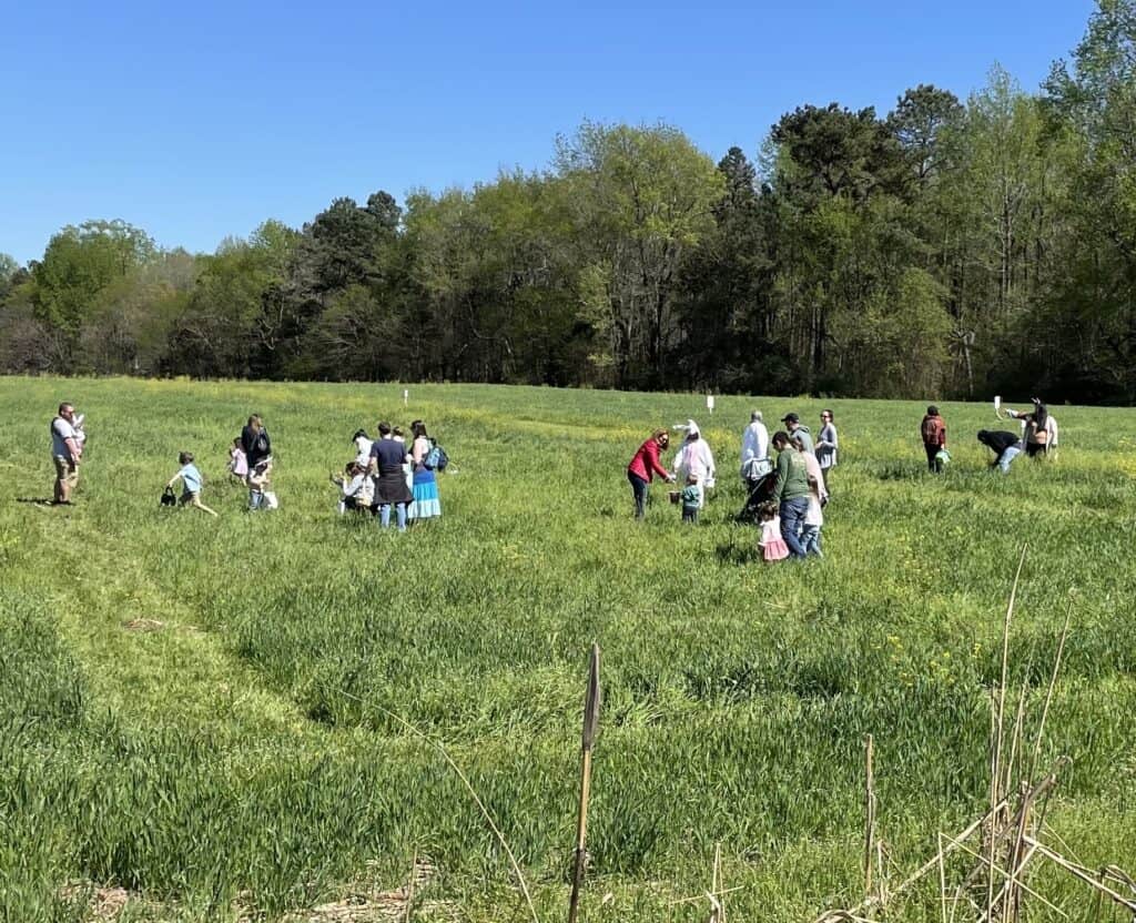 children looking for eggs in a field