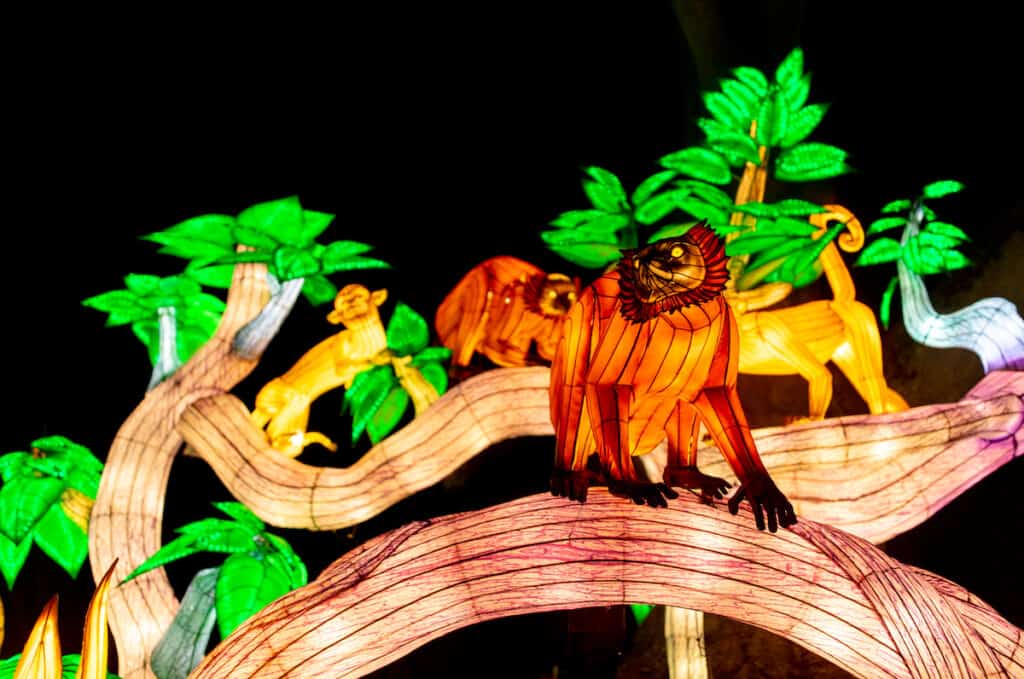 Large illuminated lanterns depicting monkeys on a tree in a jungle scene at LuminoCity Festival at Pullen Park, Raleigh, NC