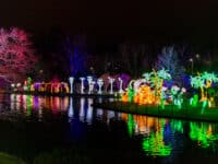 Large illuminated lanterns reflecting off the water of a pond at LuminoCity Festival at Pullen Park, Raleigh, NC