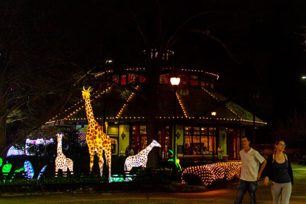 Large illuminated lanterns depicting giraffes at LuminoCity Festival at Pullen Park, Raleigh, NC, in front of carousel