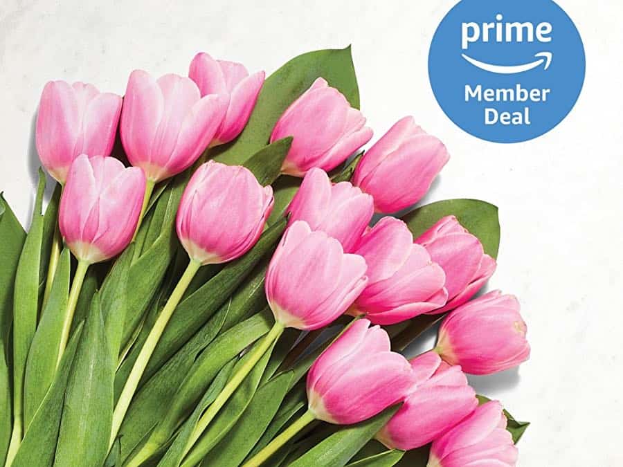 Bunch of pink tulips, with Prime logo