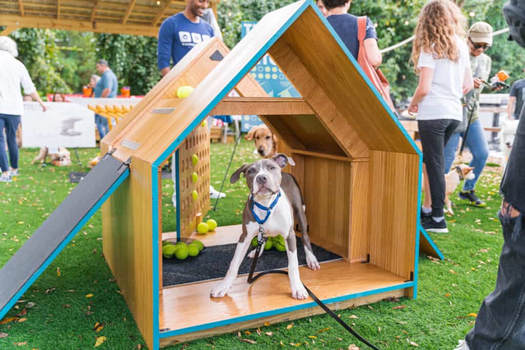 Dog in a wooden dog house