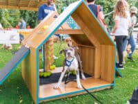 white and tan dog in a wooden dog house