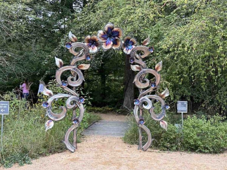 36th Annual Sculpture in the Garden at North Carolina Botanical Garden ...