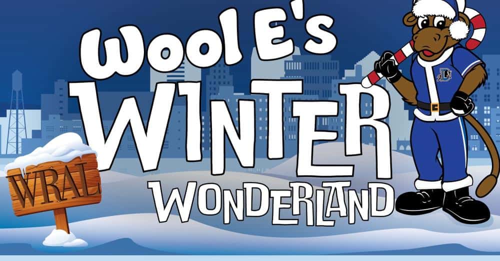 Last weekend Wool E's Winter Wonderland Triangle on the Cheap