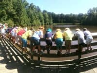 children looking into a pond