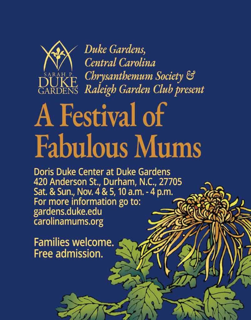 festival-of-fabulous-mums-at-duke-gardens-nov-4-5-triangle-on-the-cheap