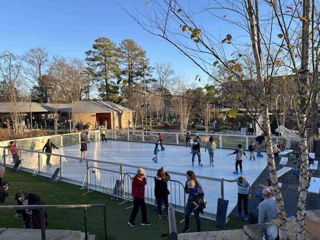 ice skating rink at Downtown Cary Park