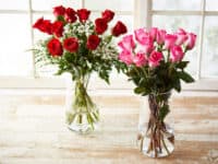 two dozen roses, in 2 vases