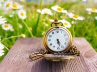 Open vintage pocket watch placed on a rustic wooden table, beautifully set against the backdrop of a blooming daisy field.