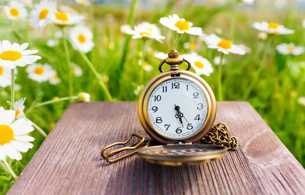 Open vintage pocket watch placed on a rustic wooden table, beautifully set against the backdrop of a blooming daisy field. 