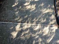 Crescent shaped shadow and light patterns on sidewalk, caused by the solar eclipse