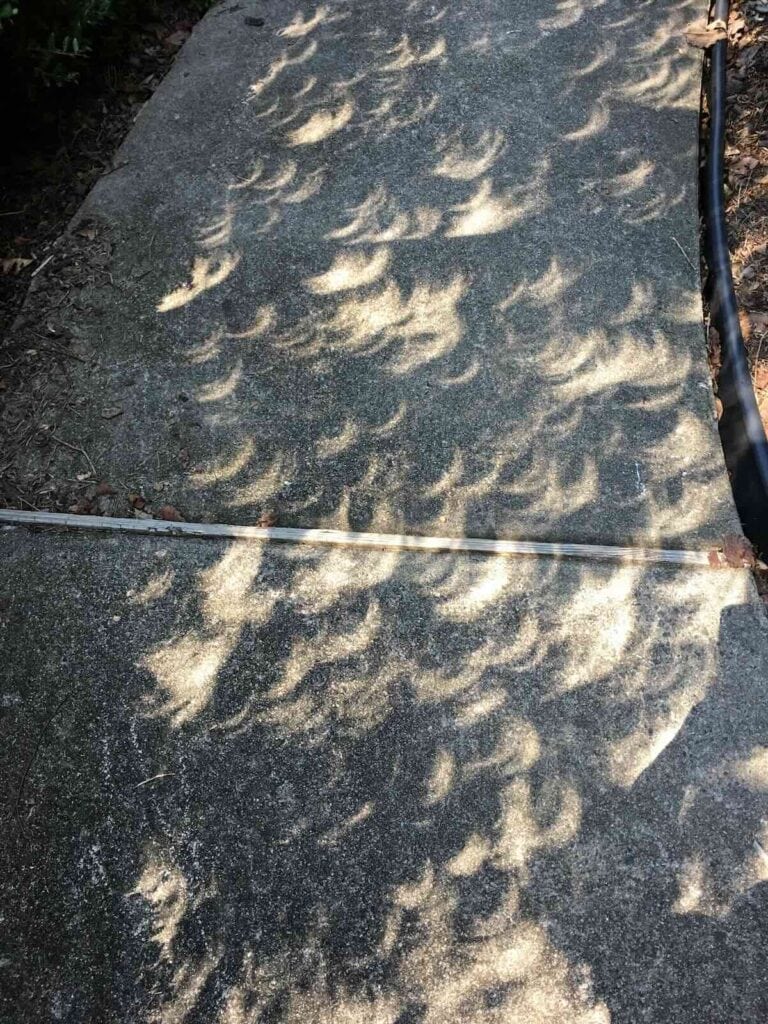 Crescent shaped shadow and light patterns on sidewalk, caused by the solar eclipse