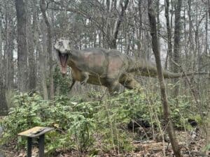 Museum of Life and Science free for Durham residents Feb. 7 and 18