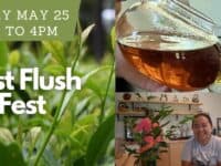 First flush fest