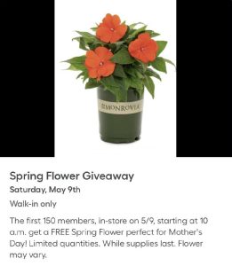 Lowe's gives away free spring flowers for Mother's Day May 9 - Triangle ...