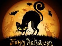 Halloween illustration with black cat on moon background.