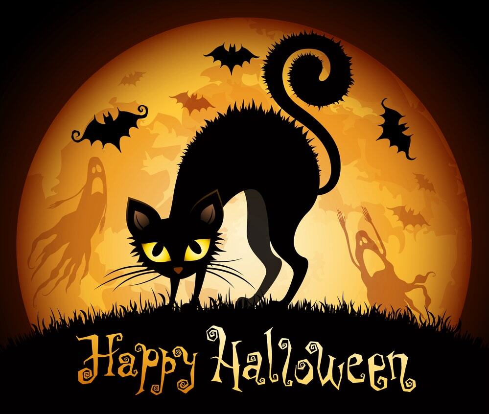 Halloween illustration with black cat on moon background.
