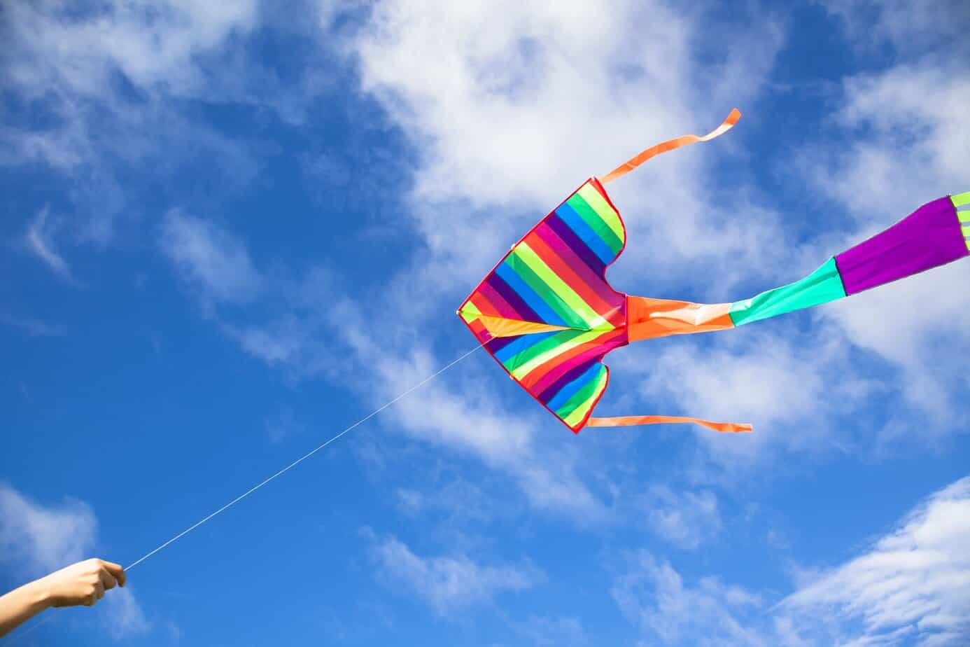 Kite in sky