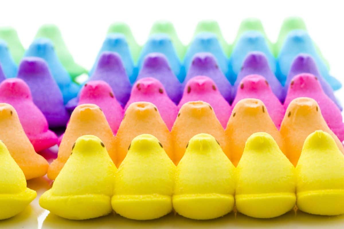 peeps in rows