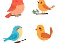 Collection of Colorful Cute Bird Animal Cartoon Perched on a Tree Branch