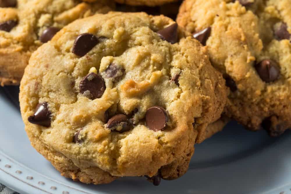 Homemade Warm Chocolate Chip Cookies Ready to Eat